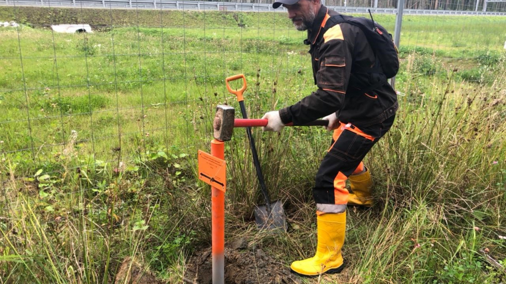 Работы по установлению придорожной полосы федеральной автомобильной дороги М-11 «Нева» https://avtodor-eng.ru/storage/app/uploads/public/61a/8b9/1ee/61a8b91ee2957432661462.jpg